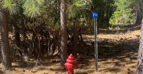 Wildrose Dr, Grizzly Flats, CA 95636 Photo