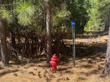 Wildrose Dr, Grizzly Flats, CA 95636 Photo