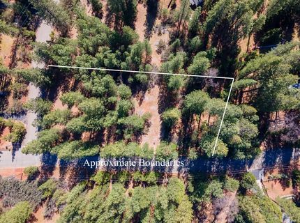 Wildrose Dr, Grizzly Flats, CA 95636 Photo