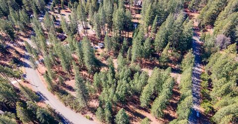 Wildrose Dr, Grizzly Flats, CA 95636 Photo