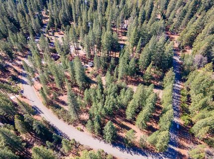 Wildrose Dr, Grizzly Flats, CA 95636 Photo