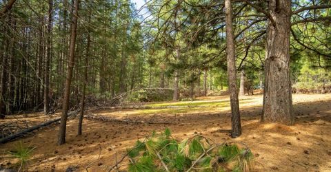 Wildrose Dr, Grizzly Flats, CA 95636 Photo