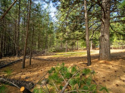 Wildrose Dr, Grizzly Flats, CA 95636 Photo