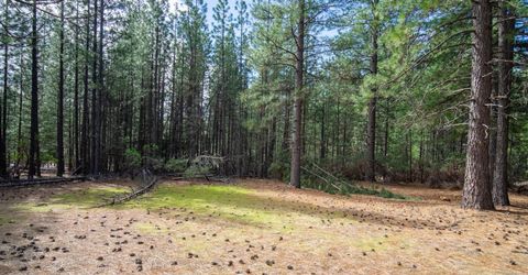 Wildrose Dr, Grizzly Flats, CA 95636 Photo