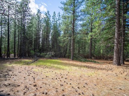 Wildrose Dr, Grizzly Flats, CA 95636 Photo