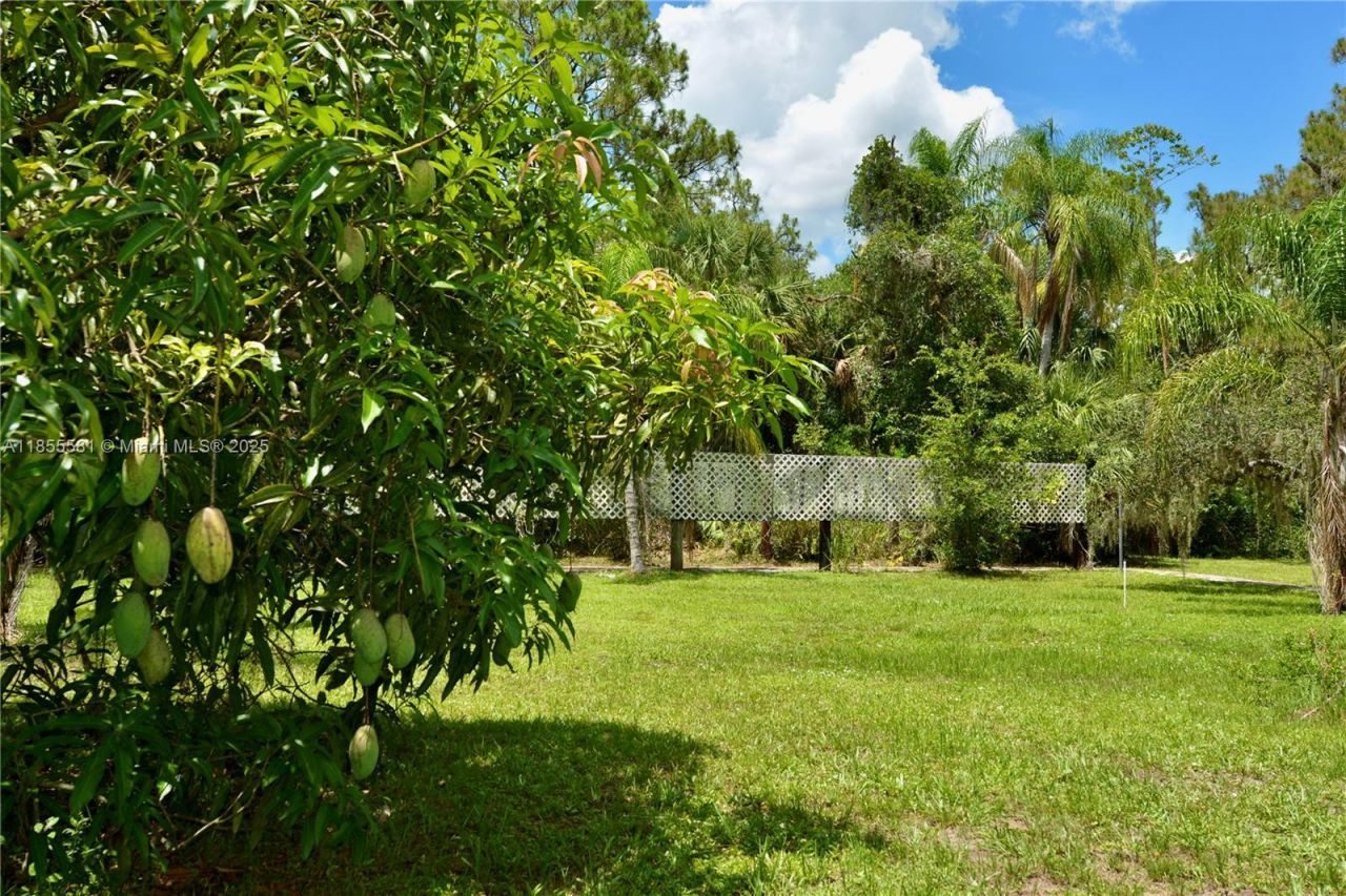 18220 Elmwood Dr, Alva, FL 33920 Photo