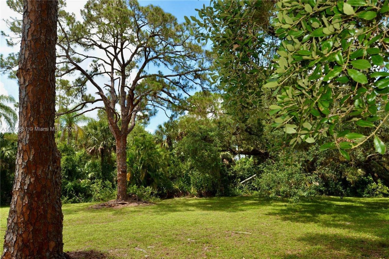 18220 Elmwood Dr, Alva, FL 33920 Photo