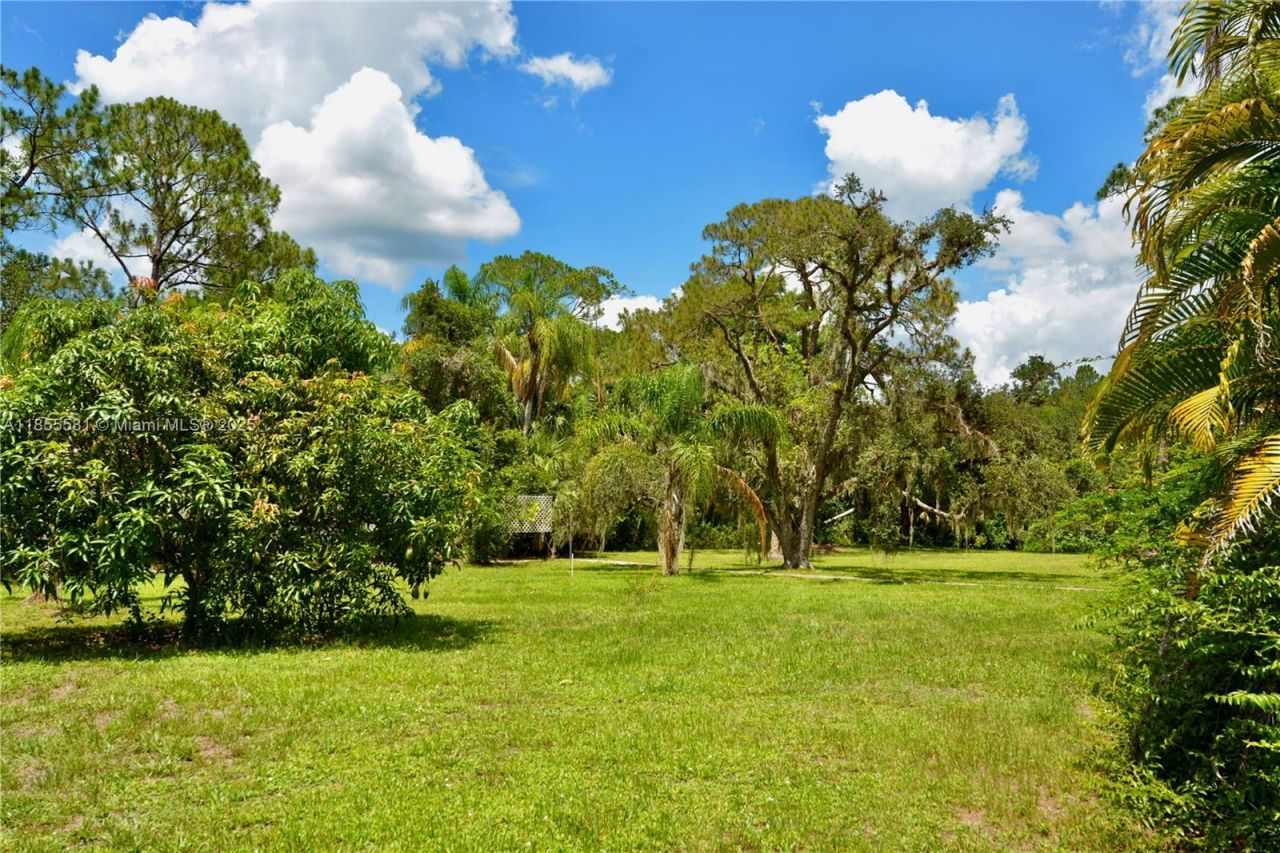 18220 Elmwood Dr, Alva, FL 33920 Photo