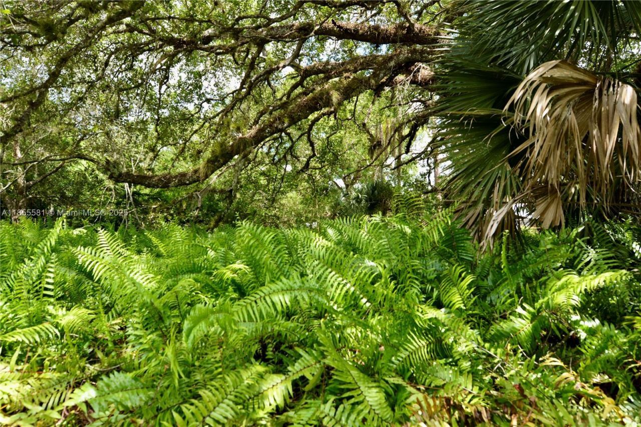 18220 Elmwood Dr, Alva, FL 33920 Photo