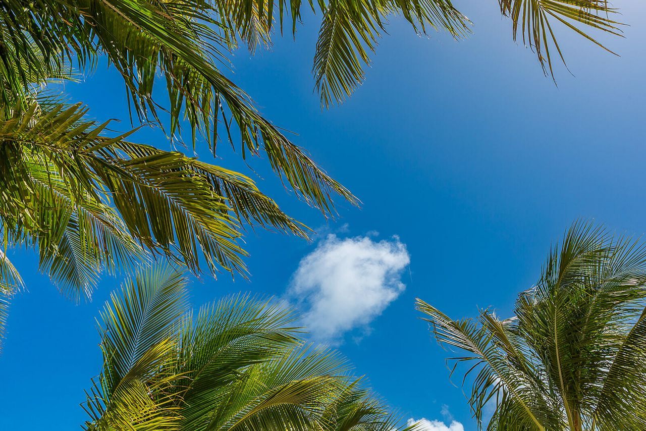 65821 Overseas Highway, Unit 35, Long Key, FL 33001 Photo