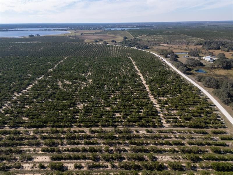 3073 Cr 627, Avon Park, FL 33825 Photo