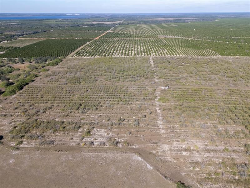 3073 Cr 627, Avon Park, FL 33825 Photo