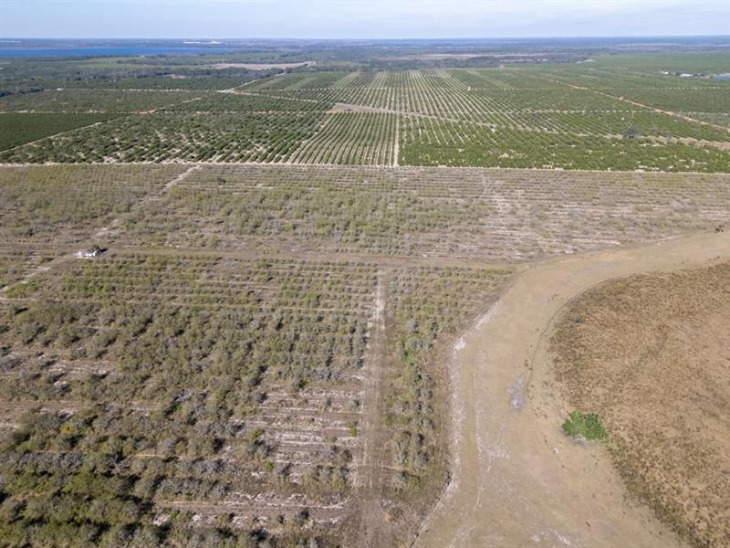 3073 Cr 627, Avon Park, FL 33825 Photo