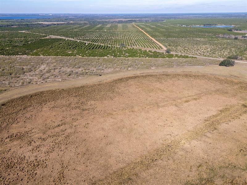 3073 Cr 627, Avon Park, FL 33825 Photo