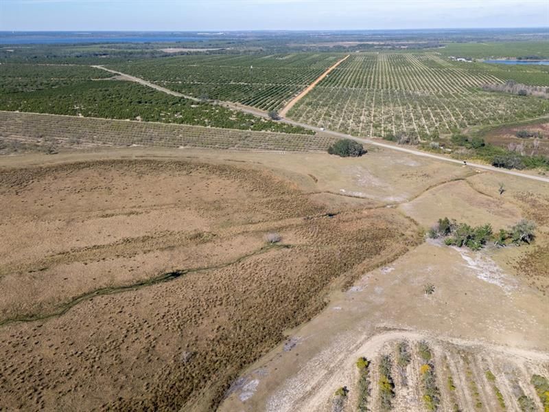 3073 Cr 627, Avon Park, FL 33825 Photo