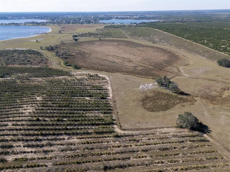 3073 Cr 627, Avon Park, FL 33825 Photo