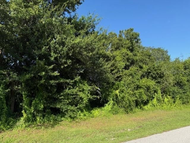 11335 Eighth Avenue, Punta Gorda, FL 33955 Photo