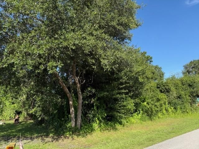 11335 Eighth Avenue, Punta Gorda, FL 33955 Photo