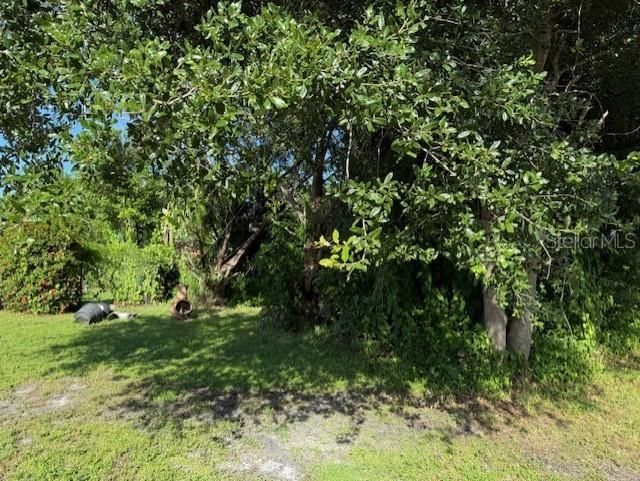 11335 Eighth Avenue, Punta Gorda, FL 33955 Photo