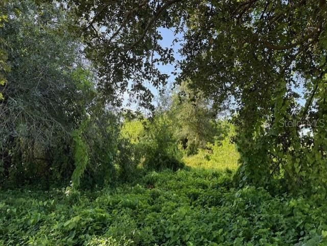 11335 Eighth Avenue, Punta Gorda, FL 33955 Photo