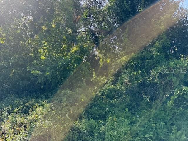 11335 Eighth Avenue, Punta Gorda, FL 33955 Photo