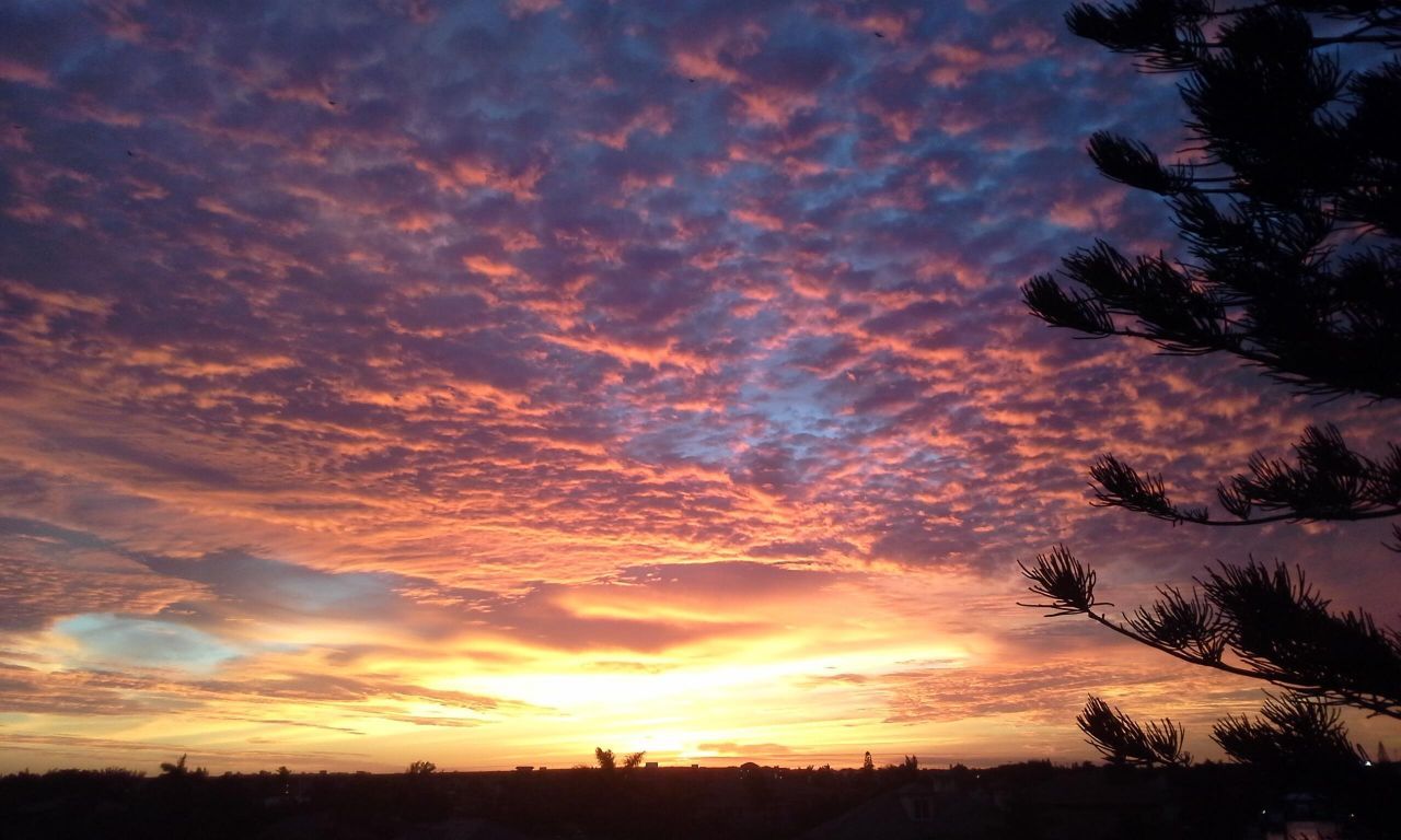 2200 S Ocean Boulevard, Unit 805, Delray Beach, FL 33483 Photo