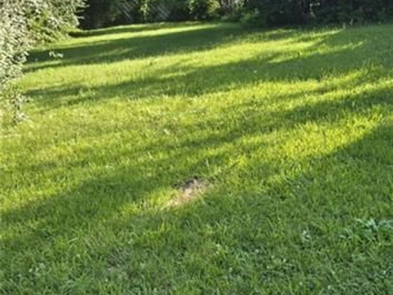 349 Forest Street, Fairborn, OH 45324 Photo 5