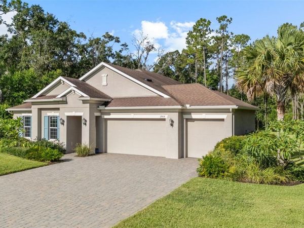 17804 WATERWAY CREEK DRIVE, LUTZ, FL 33549