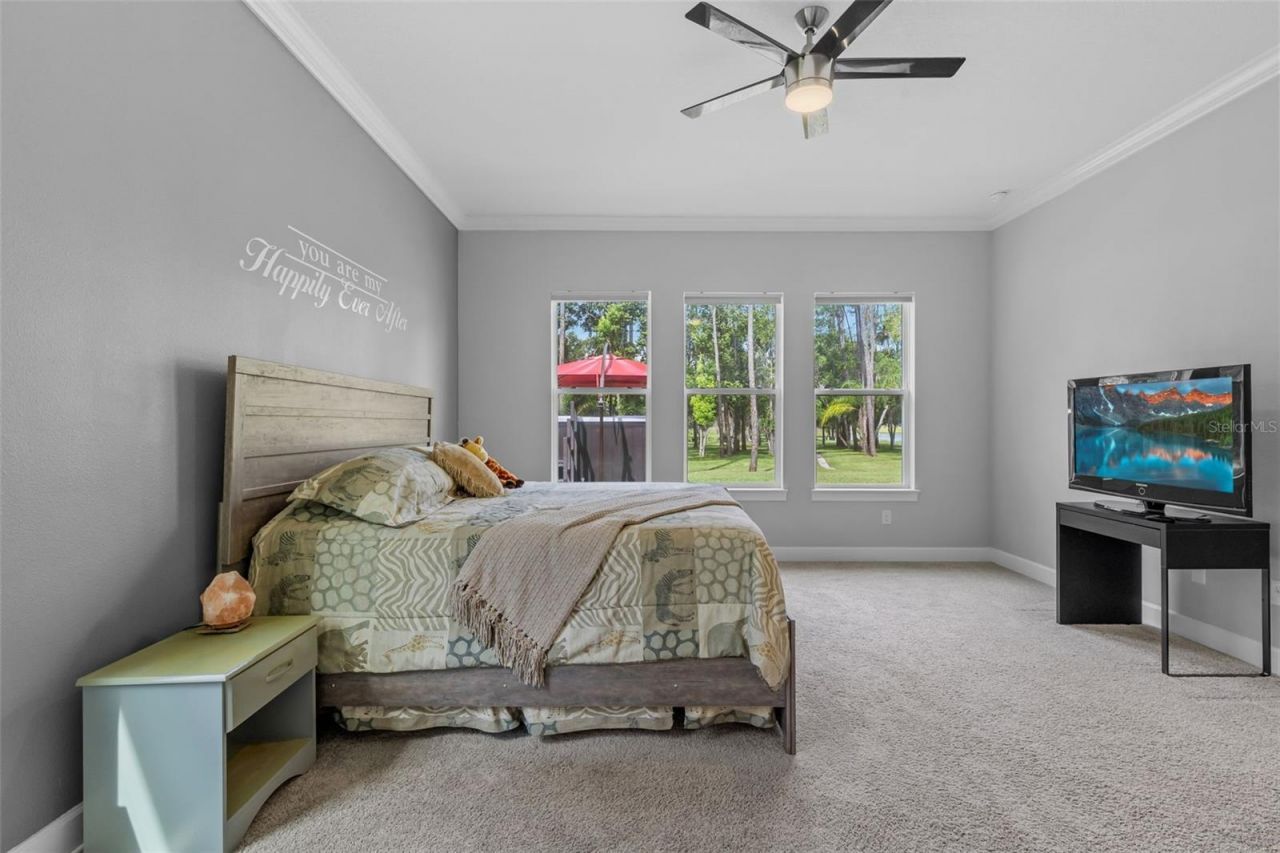 17804 Waterway Creek Drive, Lutz, FL 33549 Photo