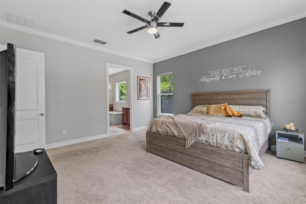 17804 Waterway Creek Drive, Lutz, FL 33549 Photo