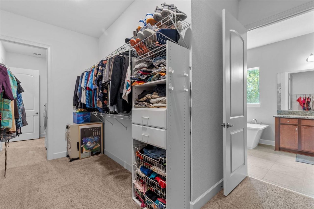 17804 Waterway Creek Drive, Lutz, FL 33549 Photo