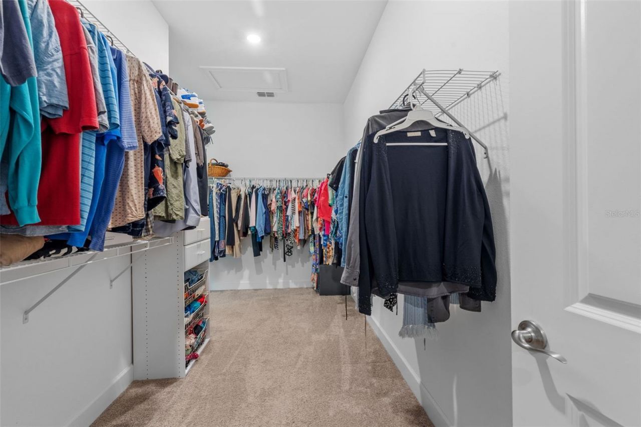 17804 Waterway Creek Drive, Lutz, FL 33549 Photo