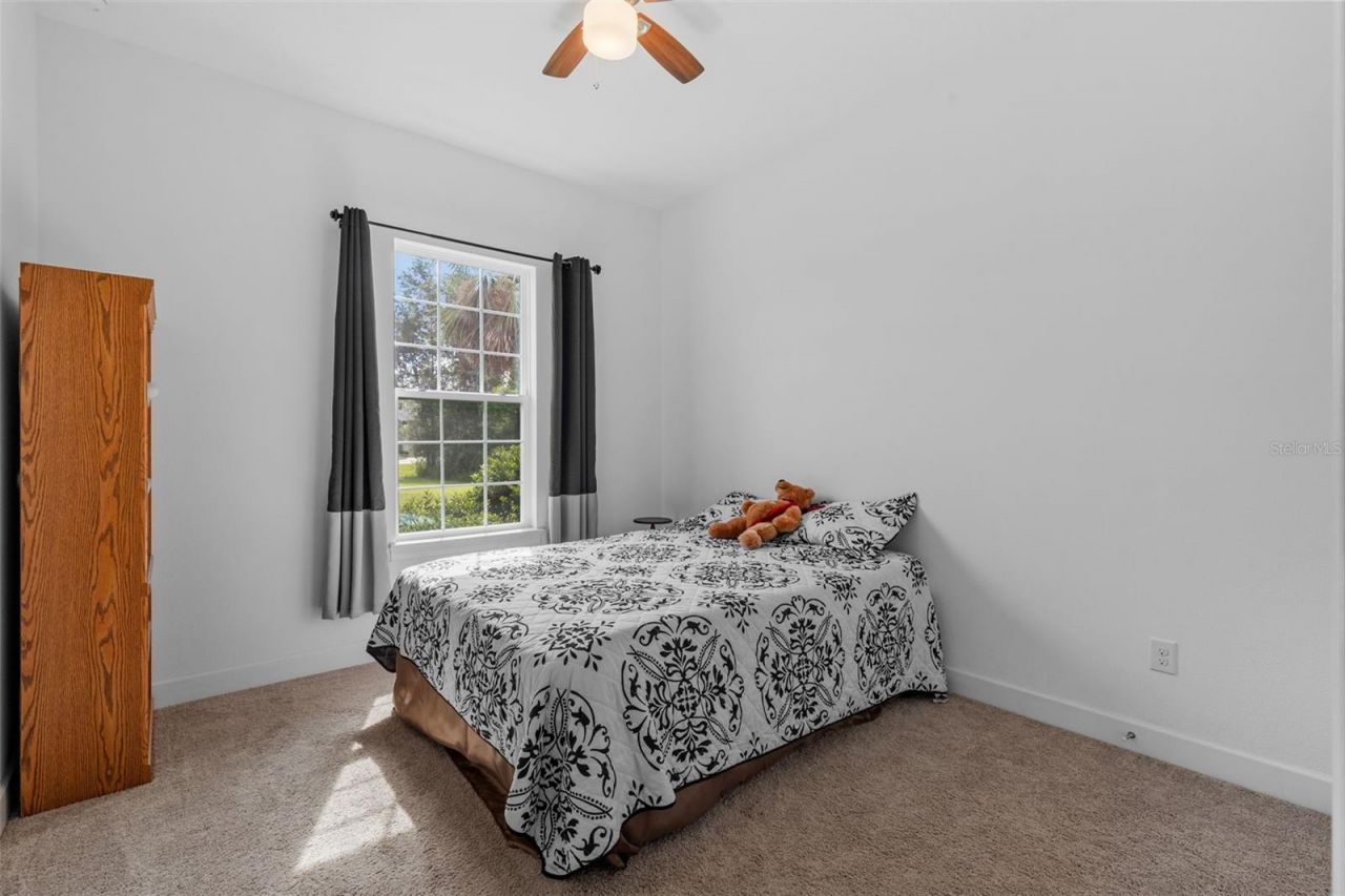 17804 Waterway Creek Drive, Lutz, FL 33549 Photo