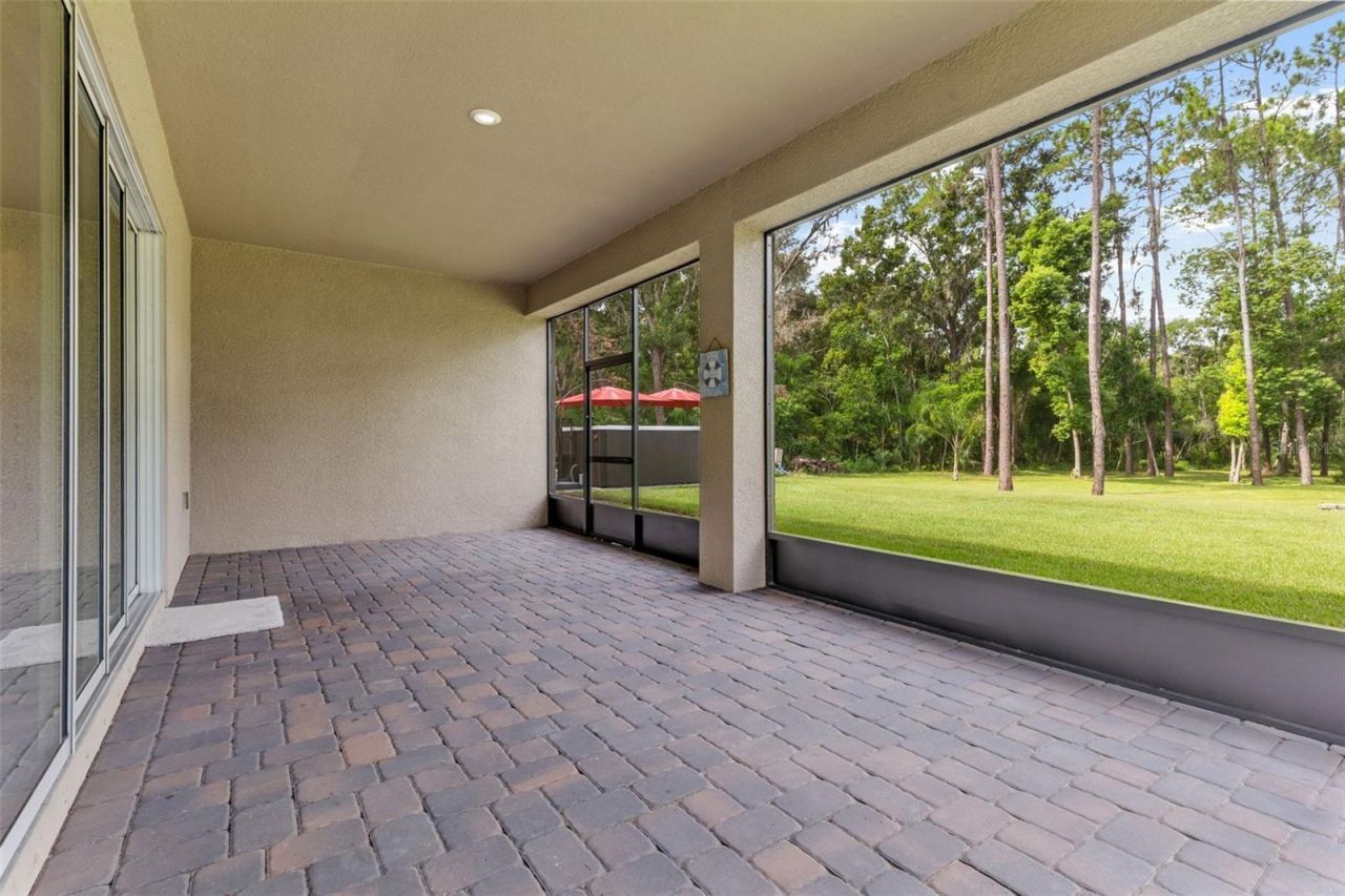 17804 Waterway Creek Drive, Lutz, FL 33549 Photo