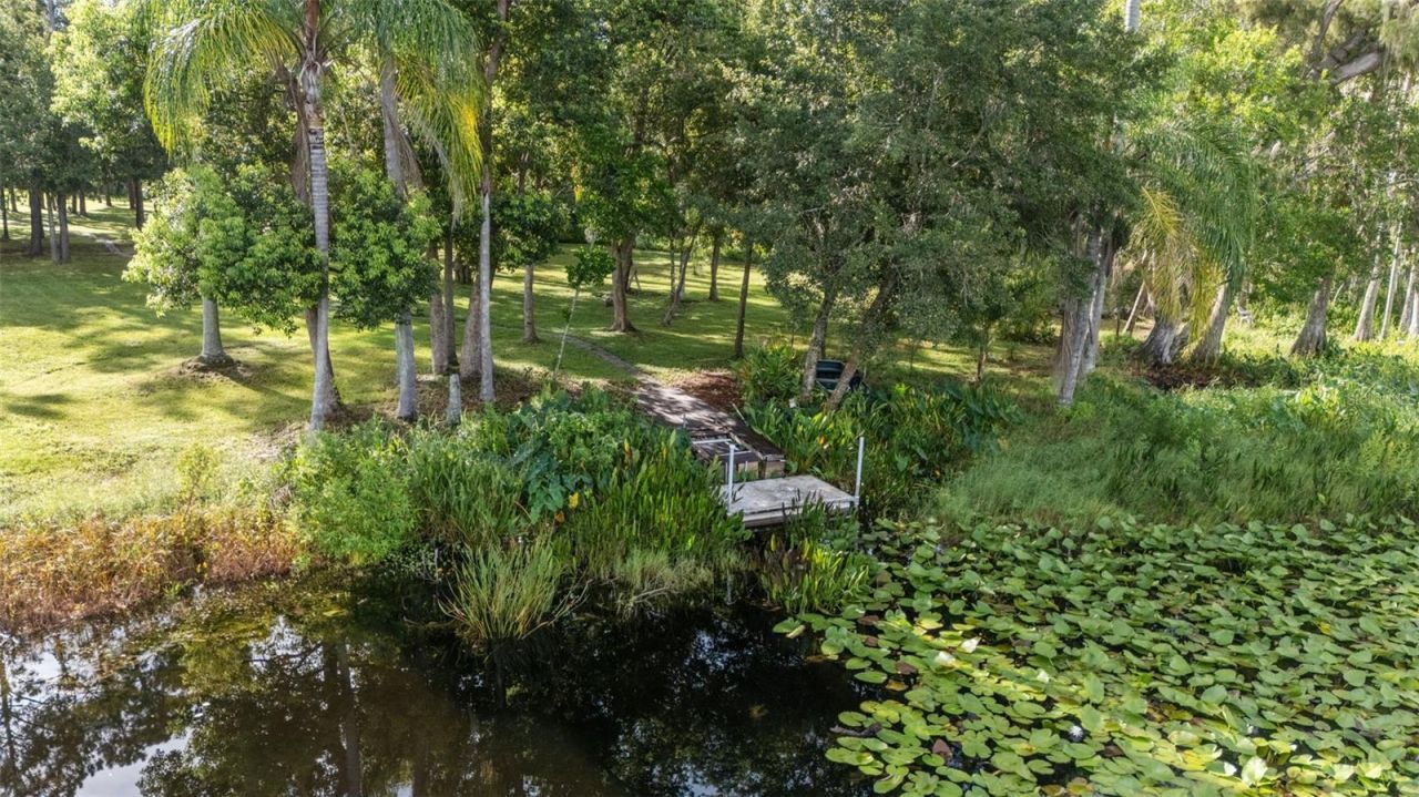 17804 Waterway Creek Drive, Lutz, FL 33549 Photo