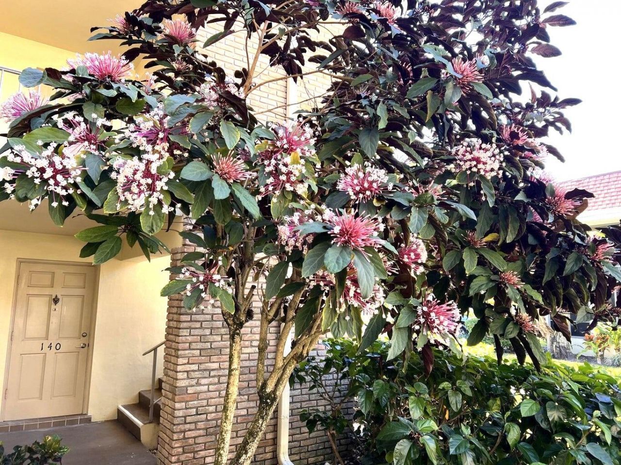 5580 S Tamberlane Circle, Unit 235, Palm Beach Gardens, FL 33418 Photo