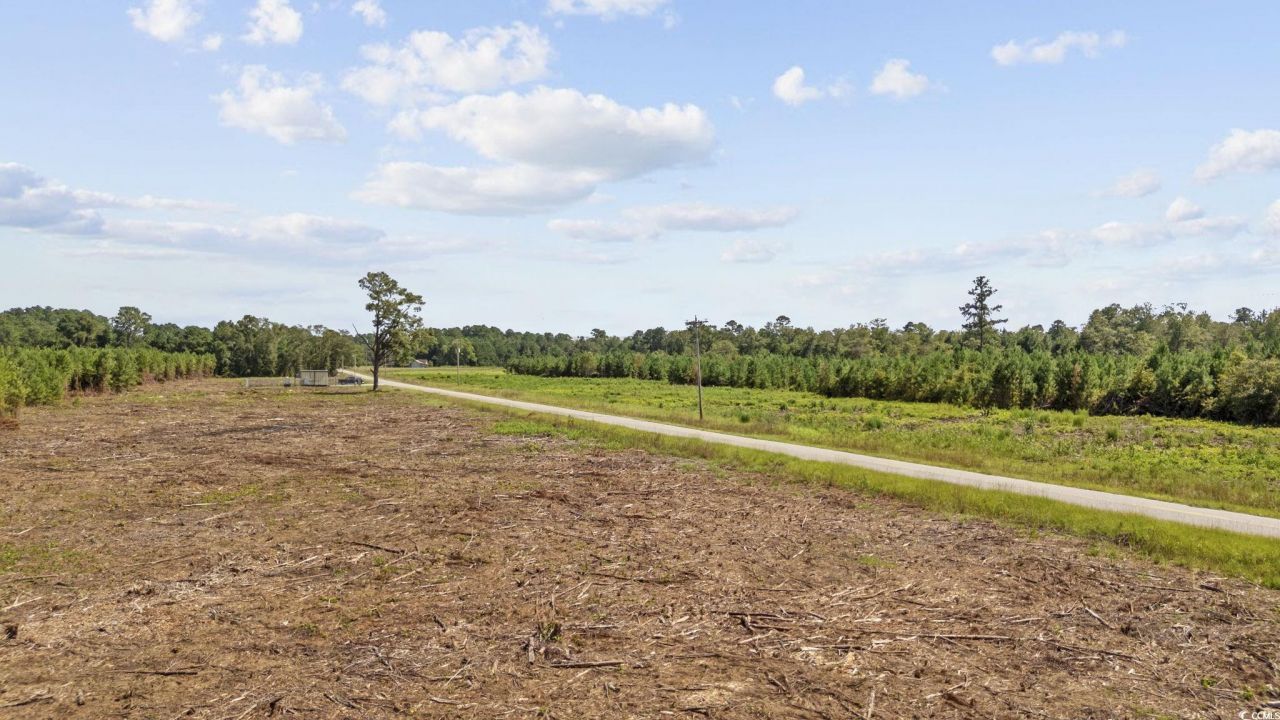 Multiple Lots Black Creek Rd. Photo 15