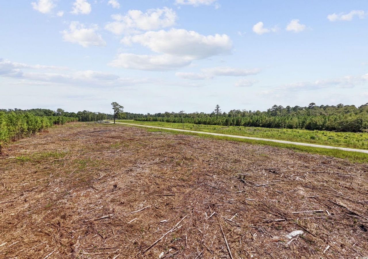 Multiple Lots Black Creek Rd. Photo 16