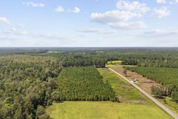 Multiple Lots Black Creek Rd. photo 4