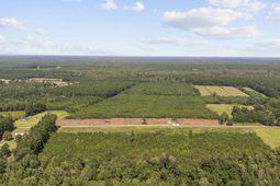 Multiple Lots Black Creek Rd. photo 4