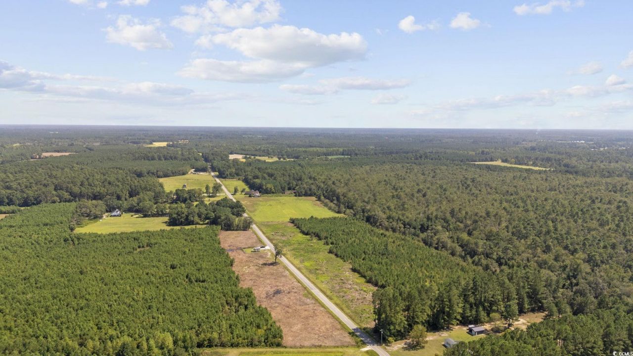 Multiple Lots Black Creek Rd. Photo 8