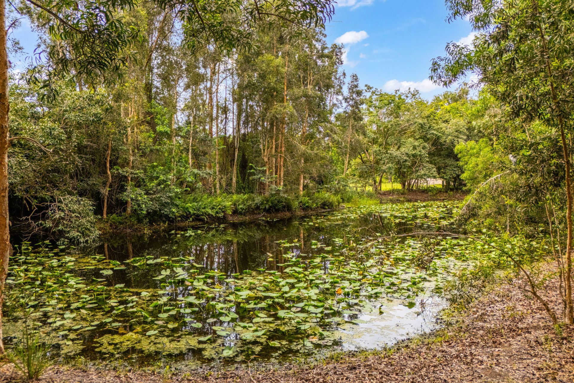 15884 North Road, Loxahatchee Groves, FL 33470 Photo