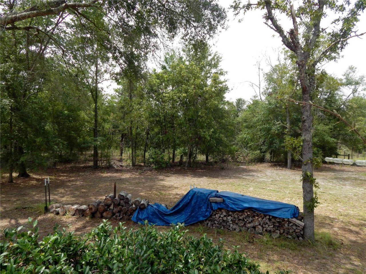 354 NW 93rd Lane, Branford, FL 32008 Photo