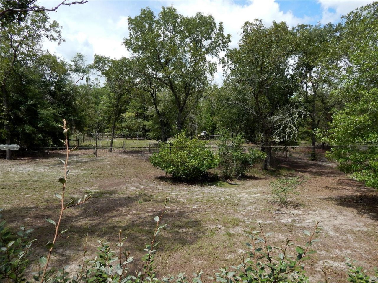 354 NW 93rd Lane, Branford, FL 32008 Photo