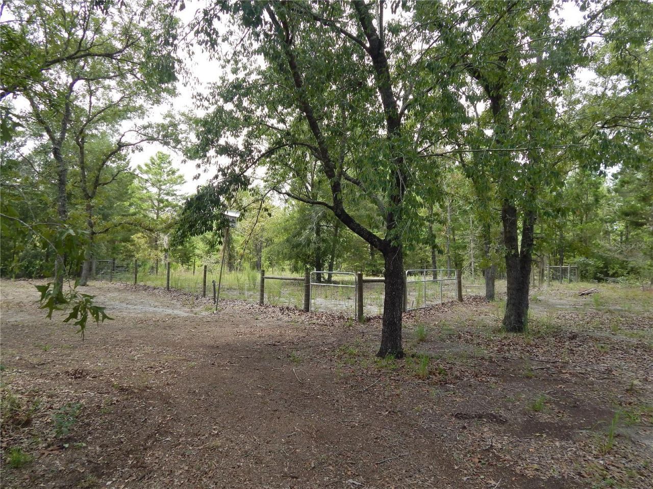 354 NW 93rd Lane, Branford, FL 32008 Photo