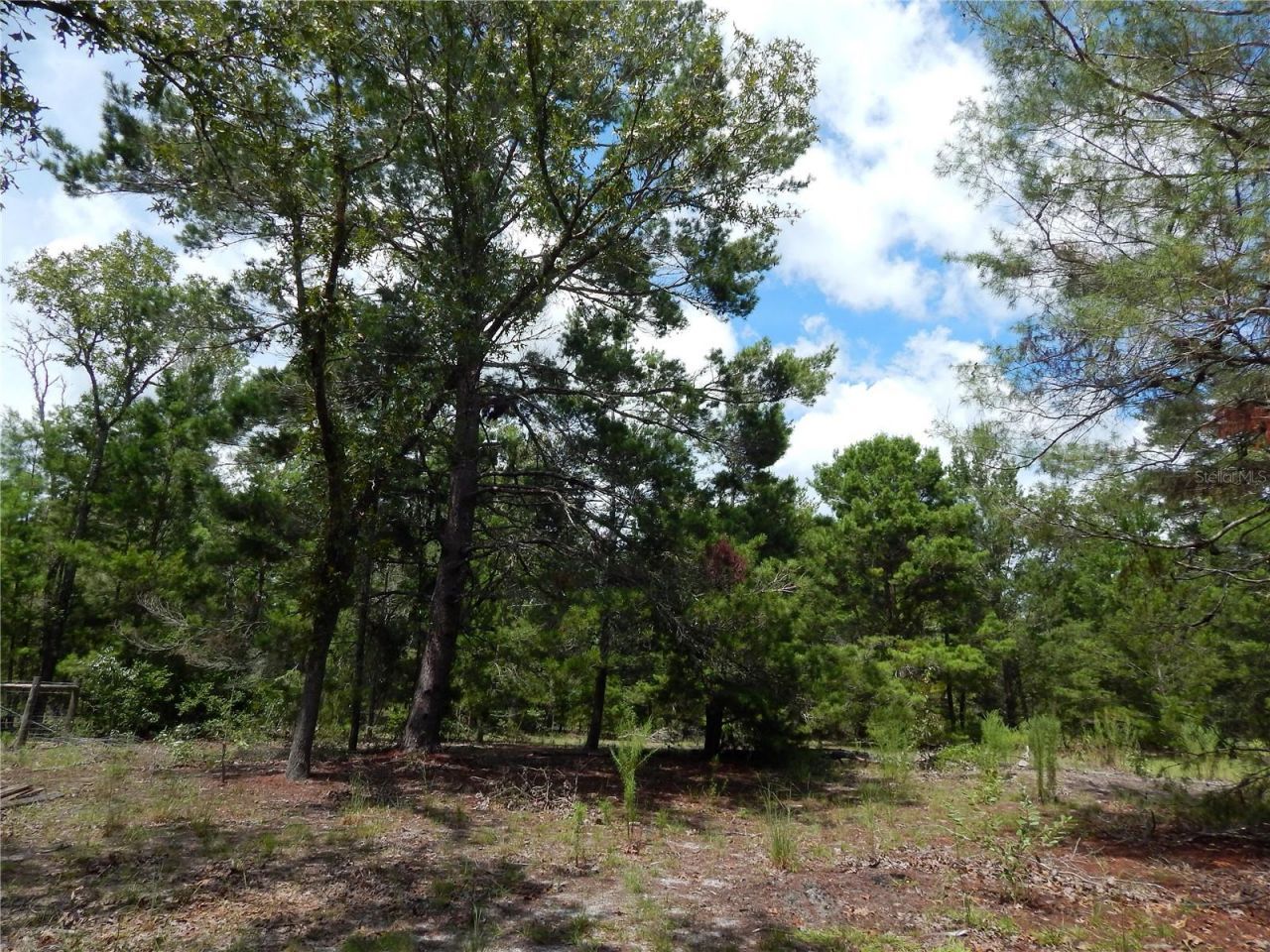 354 NW 93rd Lane, Branford, FL 32008 Photo