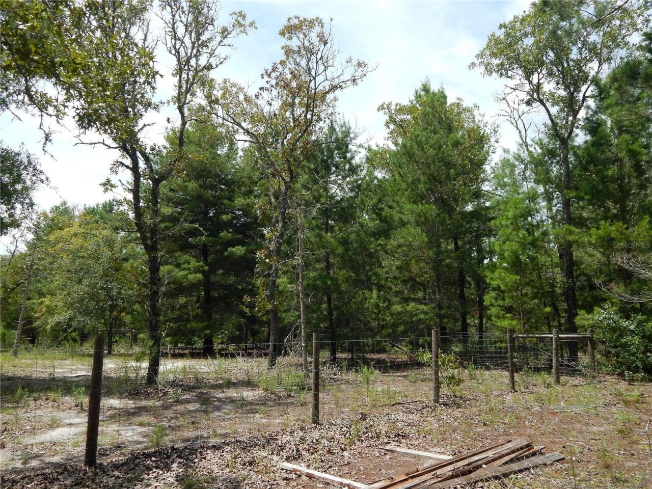 354 NW 93rd Lane, Branford, FL 32008 Photo