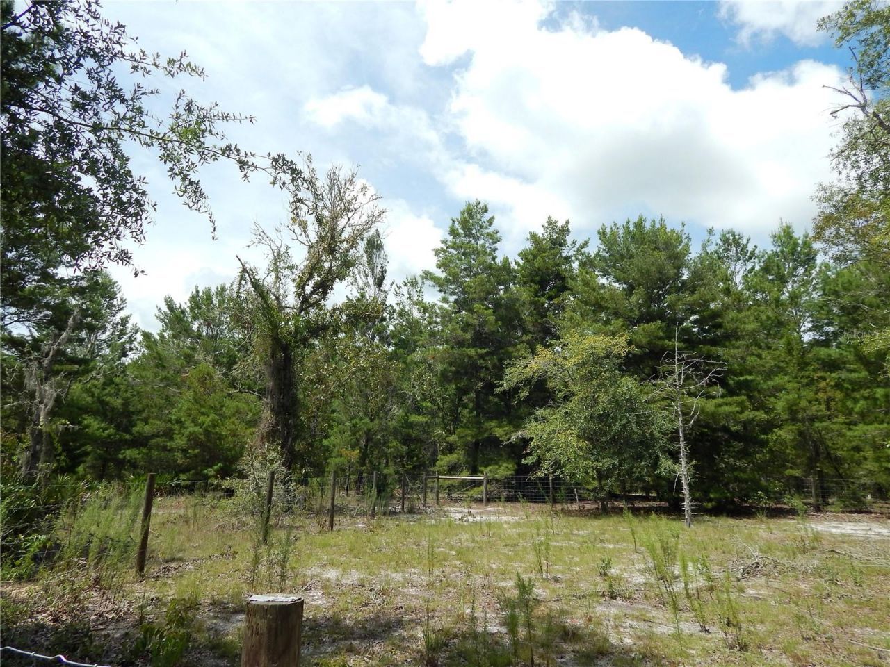 354 NW 93rd Lane, Branford, FL 32008 Photo