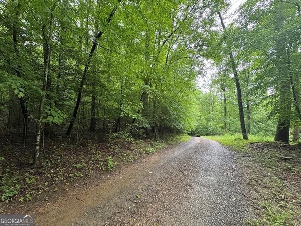 1.23 AC Bear Run Circle, Unit 101,117-9, Ellijay, GA 30540