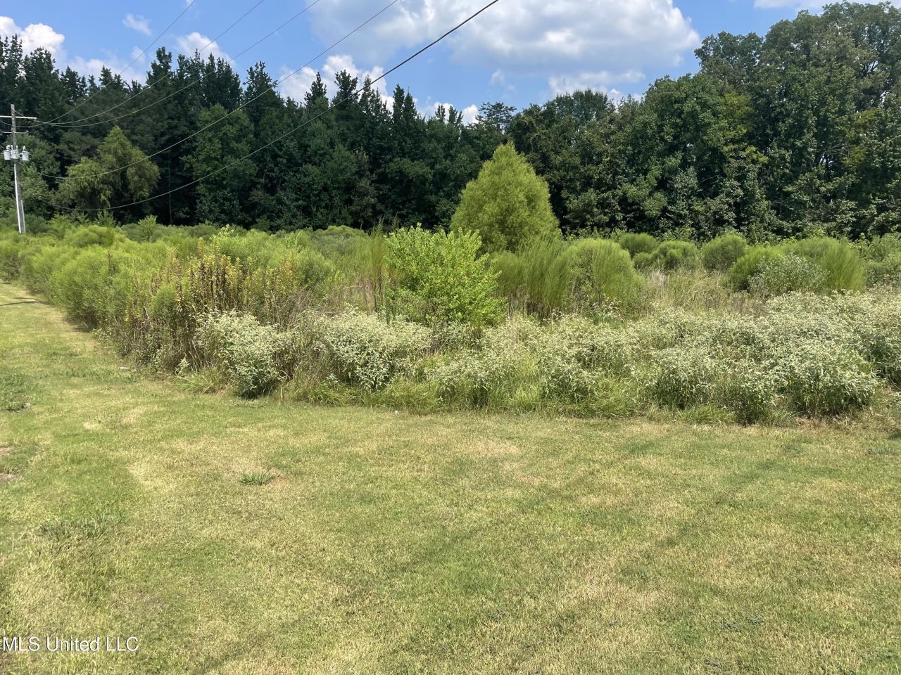 00 Main Street, Raymond, MS 39154 Main Photo